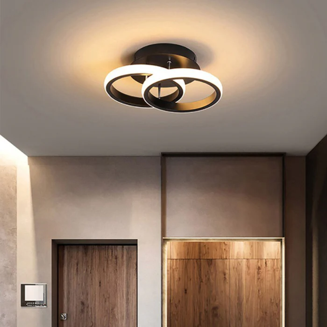 Modern Ceiling Lamp