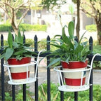 GrünMeister — Showcase your green paradise stylishly without drilling or rust!