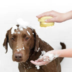 Émile Soin - Luxury Massage Glove for Pets