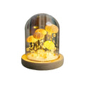 CoastalGlow DIY Hedgehog Night Light
