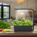 Slim Hydroponic Plant System for Indoor - GreenBloom Hydro