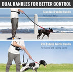 PawsFree Pro – Enjoy stress-free walks with your dog
