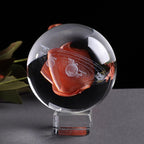 System Crystal Globe