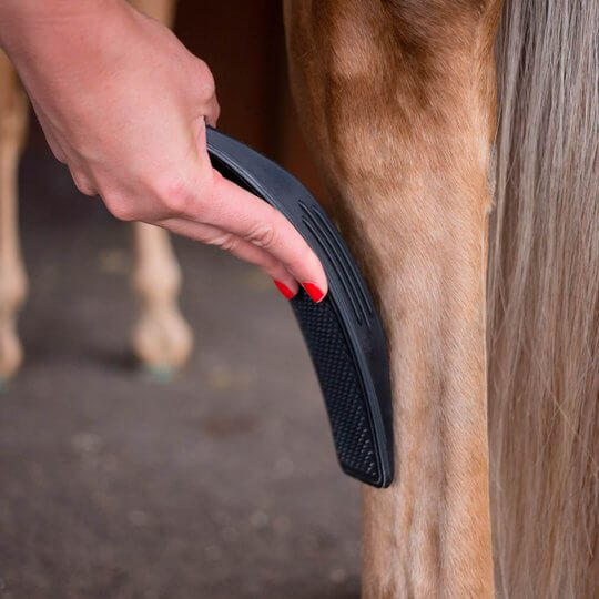 6-In-1 Horse Care Brush - EquiGlow