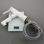 Contemporary Single Handle Faucet Retractable Sink Faucet with Lever Handle