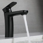 Square 1-Handle Basin Faucet 1 Hole Basin Faucet