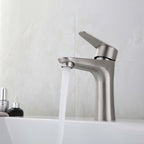 Round Single-Handle Bathroom Faucet Single Hole Sink Faucet in Chrome
