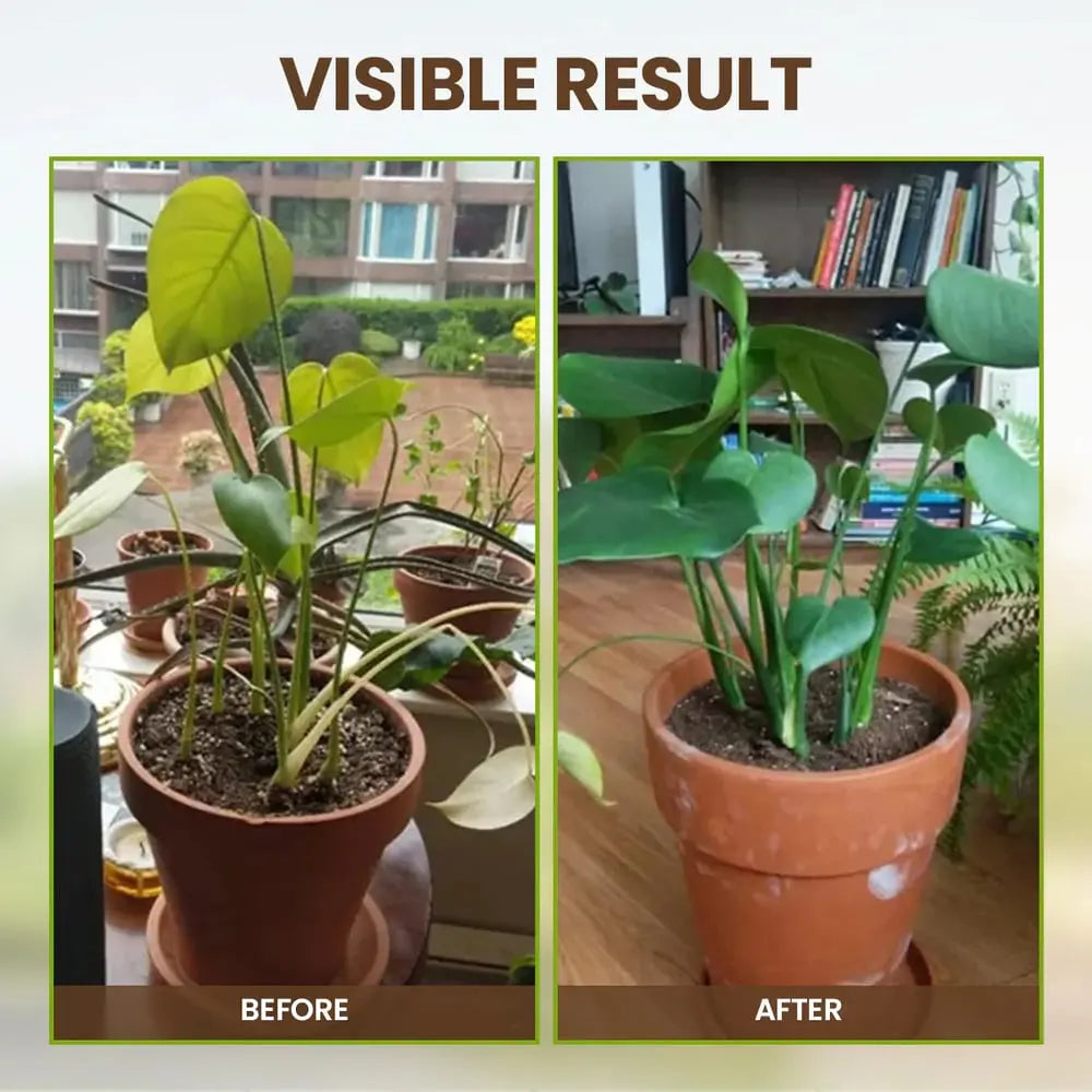 60 g Soil Activator with Minerals for Healthy Plants