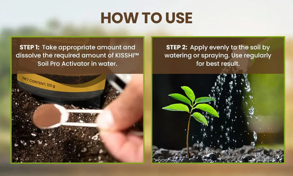 60 g Soil Activator with Minerals for Healthy Plants