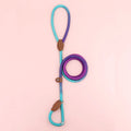 Clémentine Leash – Colorful Dog Leash for Stylish Walking