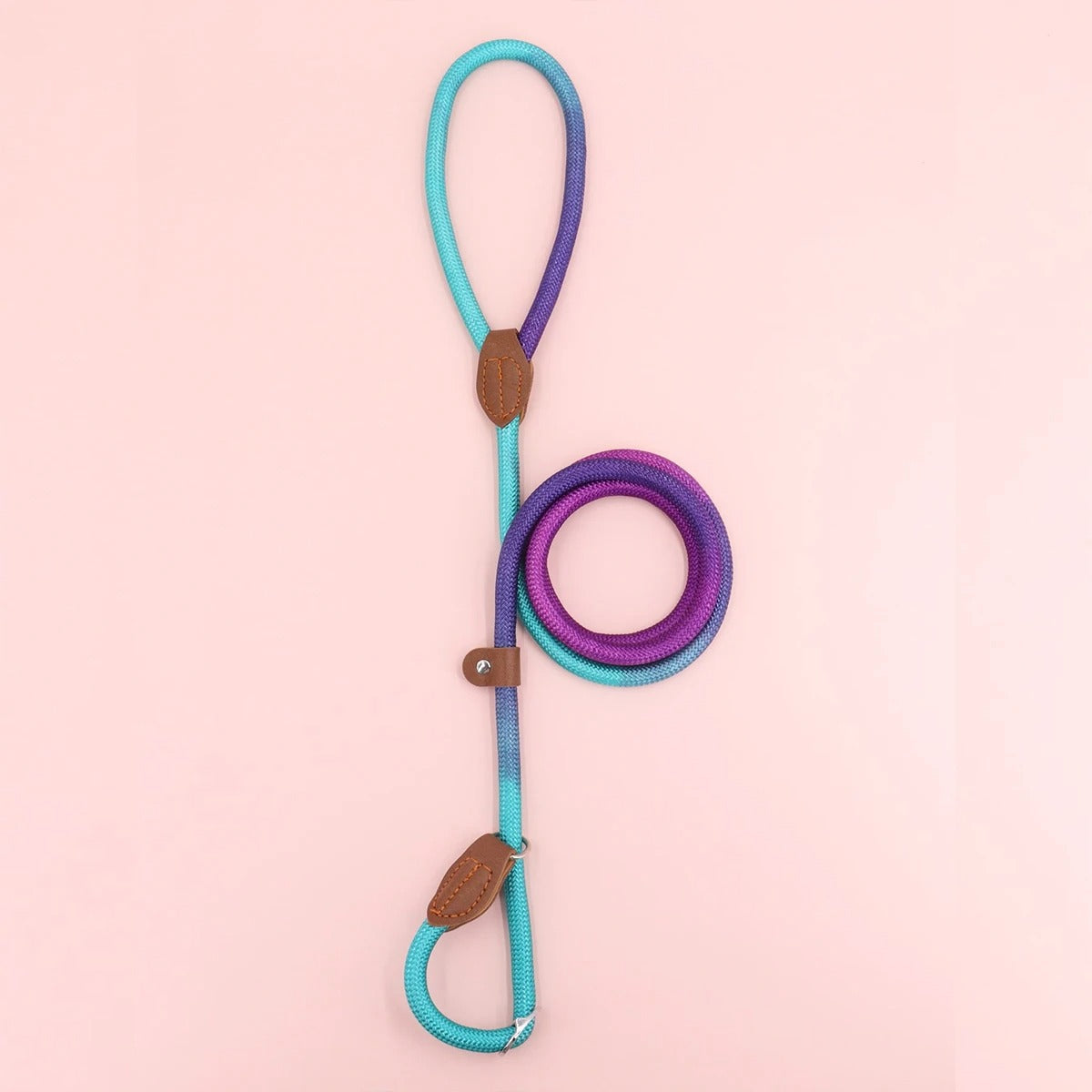 Clémentine Leash – Colorful Dog Leash for Stylish Walking