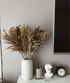 60 cm natural, real, brown-beige dried pampas grass bouquet │ fluffy feather for modern boho home decoration