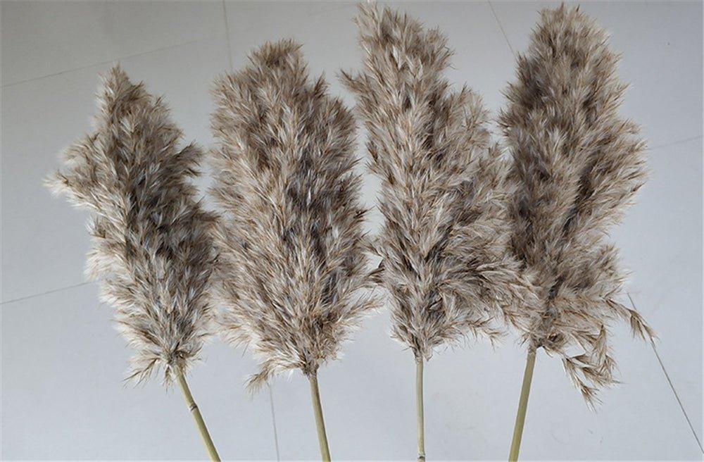60 cm natural, real, brown-beige dried pampas grass bouquet │ fluffy feather for modern boho home decoration