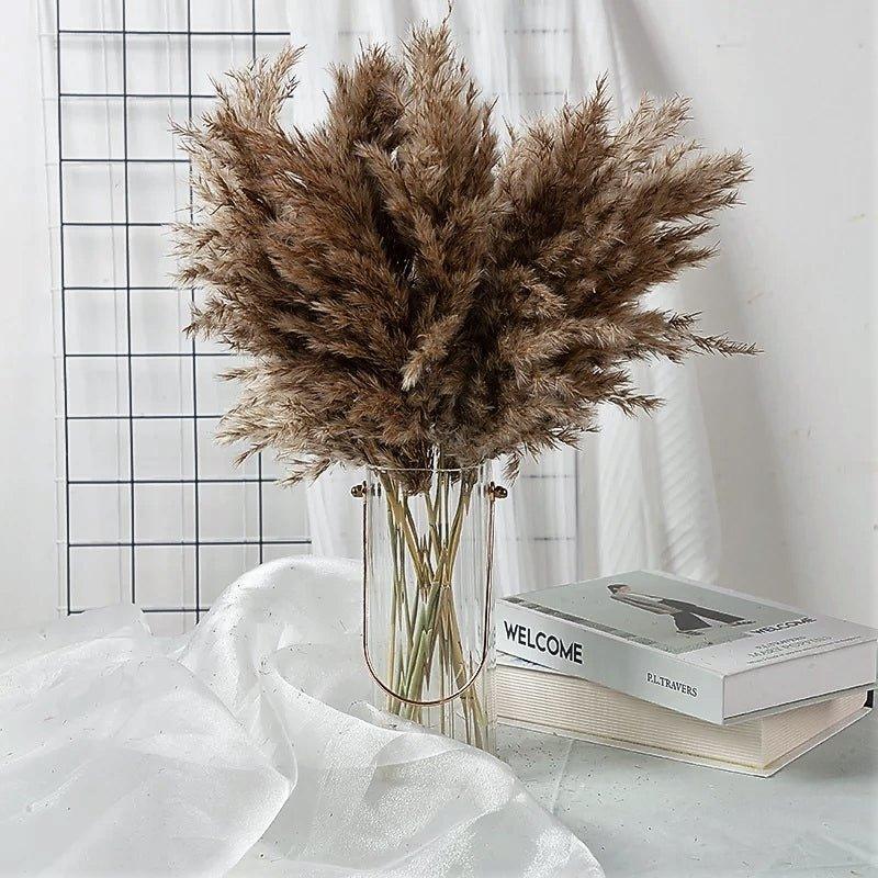 60 cm natural, real, brown-beige dried pampas grass bouquet │ fluffy feather for modern boho home decoration