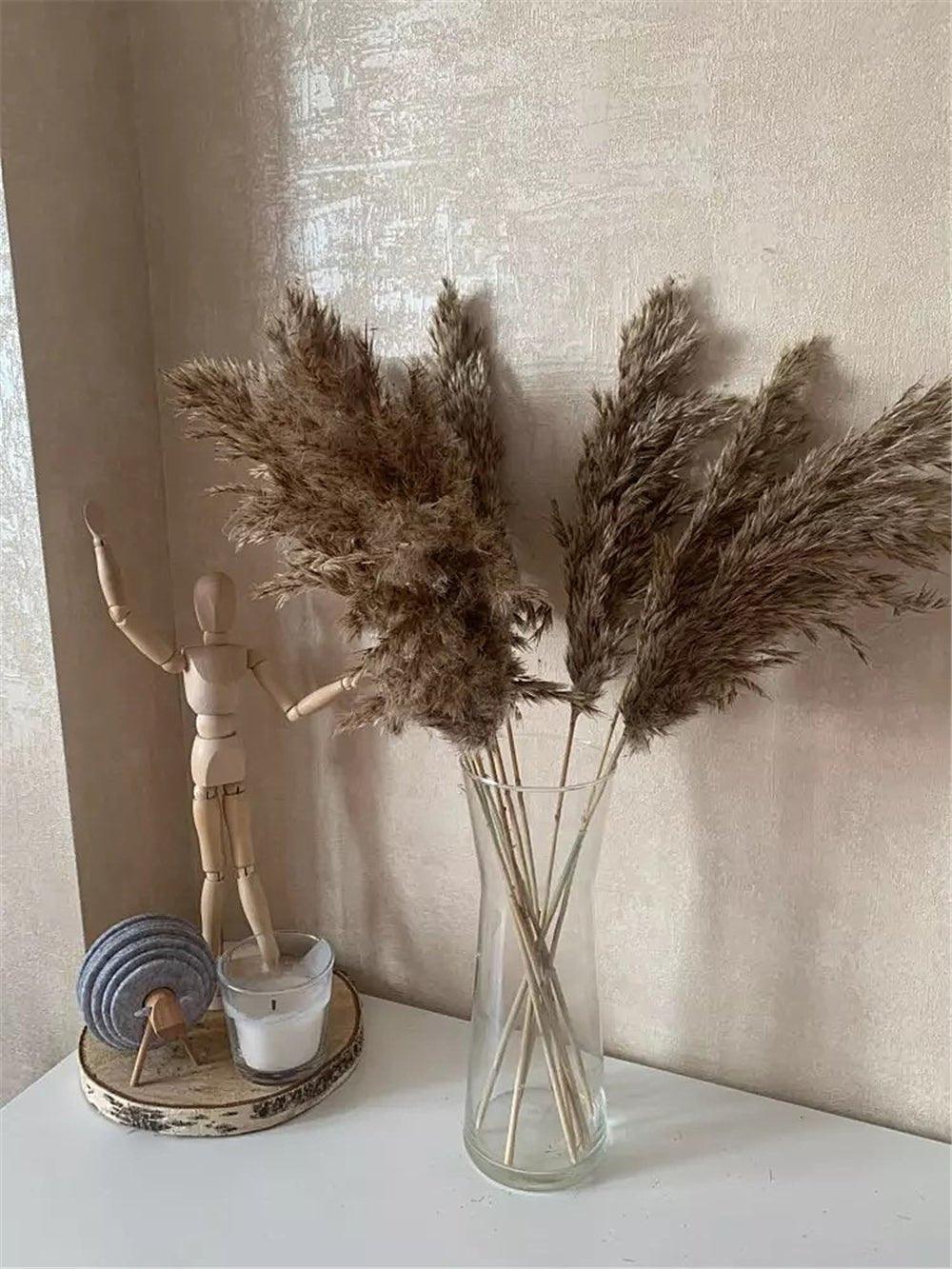 60 cm natural, real, brown-beige dried pampas grass bouquet │ fluffy feather for modern boho home decoration