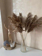 60 cm natural, real, brown-beige dried pampas grass bouquet │ fluffy feather for modern boho home decoration