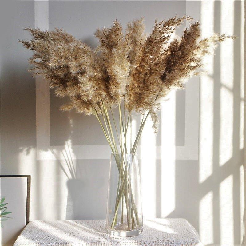 60 cm natural, real, brown-beige dried pampas grass bouquet │ fluffy feather for modern boho home decoration