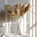 60 cm natural, real, brown-beige dried pampas grass bouquet │ fluffy feather for modern boho home decoration