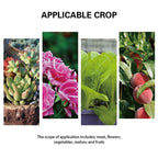 Water Bag Automatic Irrigation Device – Drip Irrigation for Easy Plant Care