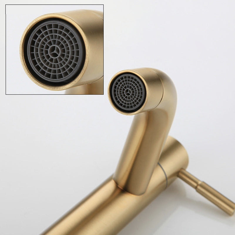 Round Single Handle Bathroom Faucet Single Hole Sink Faucet in Brushed Gold