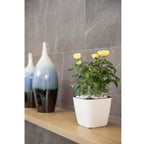Flower pot with irrigation system – Self-watering plant pot for indoor and outdoor use