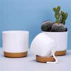 Self-watering flower pot for orchids and plants – Plastic plant container