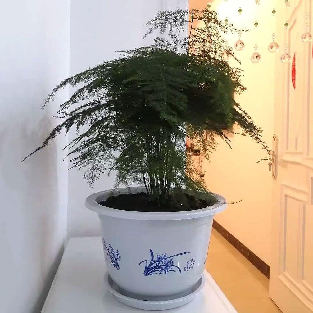Plastic flower pot with bamboo motif – Elegant planter for balcony and garden