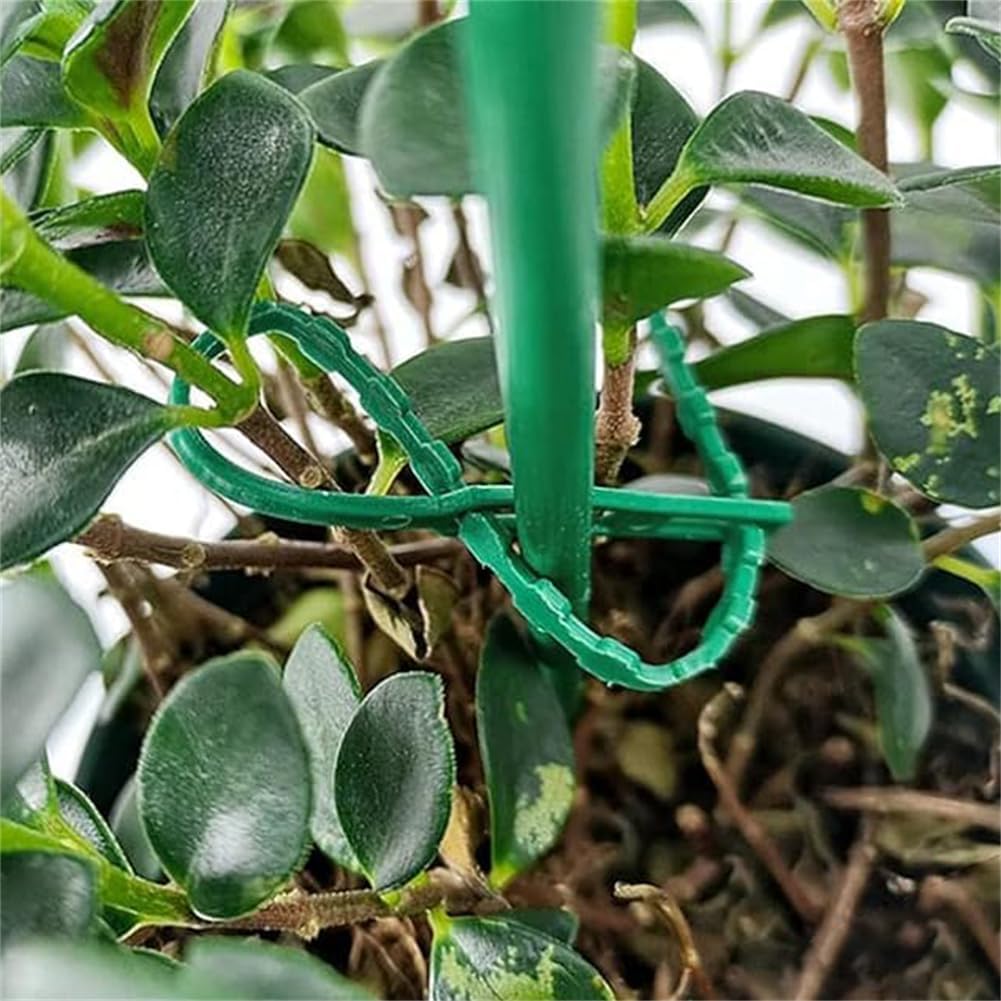 Plant fastening cable tie set for stable securing of plants