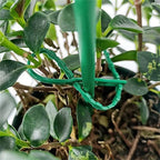 Plant fastening cable tie set for stable securing of plants