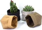 Stylish plant pots made of paper for modern decoration