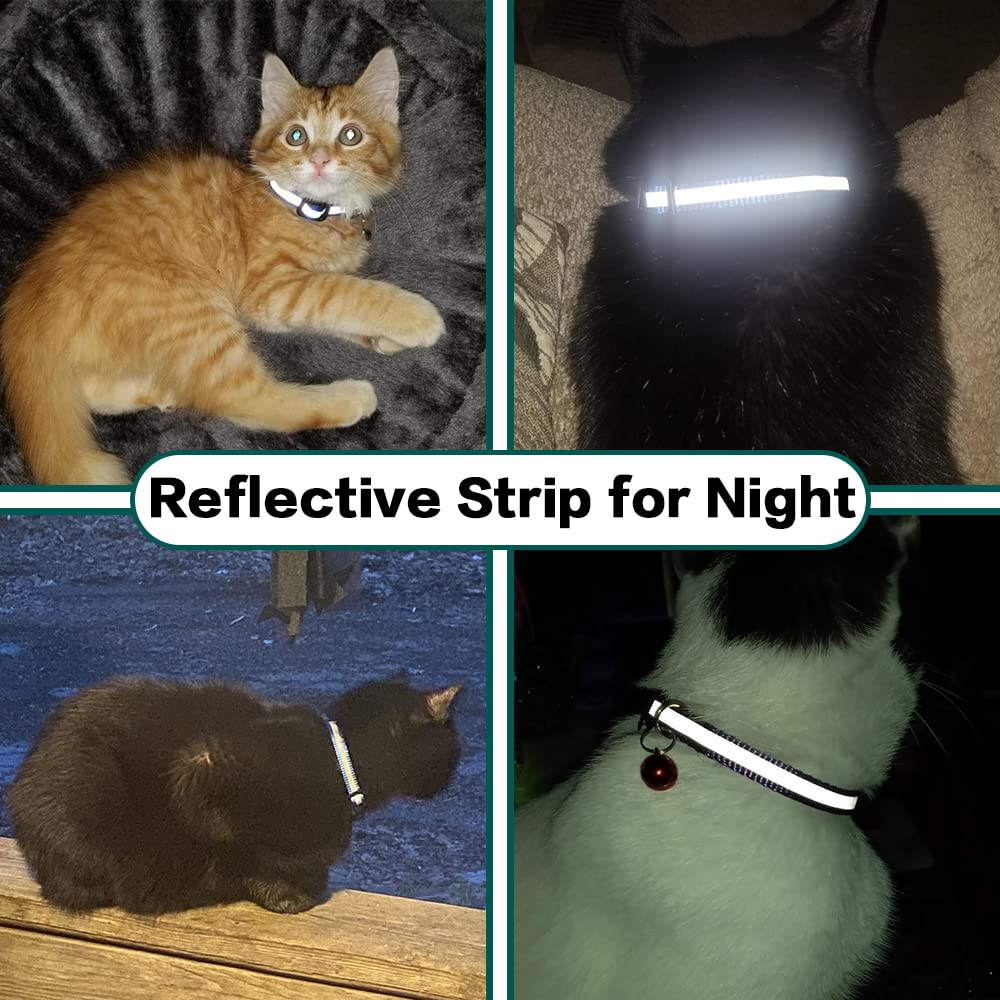 Stay Connected: pet locator collar