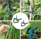 Garden clip set – plant loops for plant supports and garden care