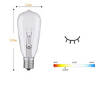 Royaleva Outdoor Dimmable String Lights - 20 ft LED Ambient Lighting