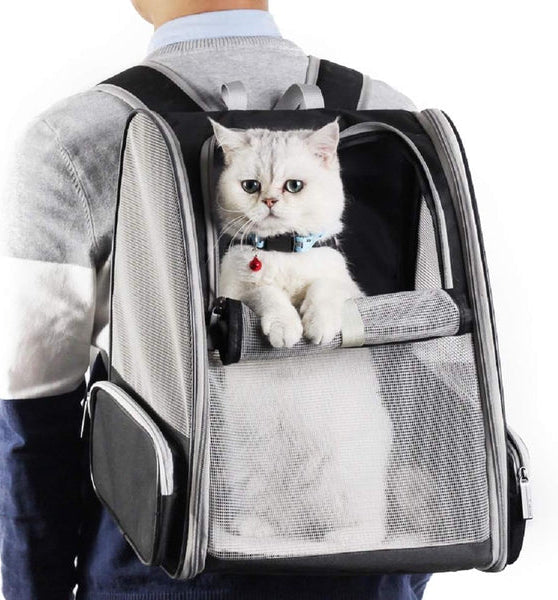 Backpack Carrier Cat