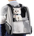 Backpack Carrier Cat