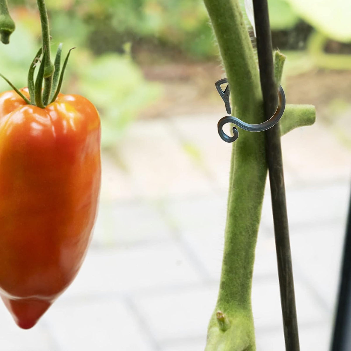 Cat-shaped Plant Clip – Cute Plant Support for Garden and House Plants