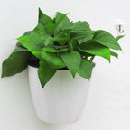 Self-watering hanging plant pot – Modern flower pot for wall mounting
