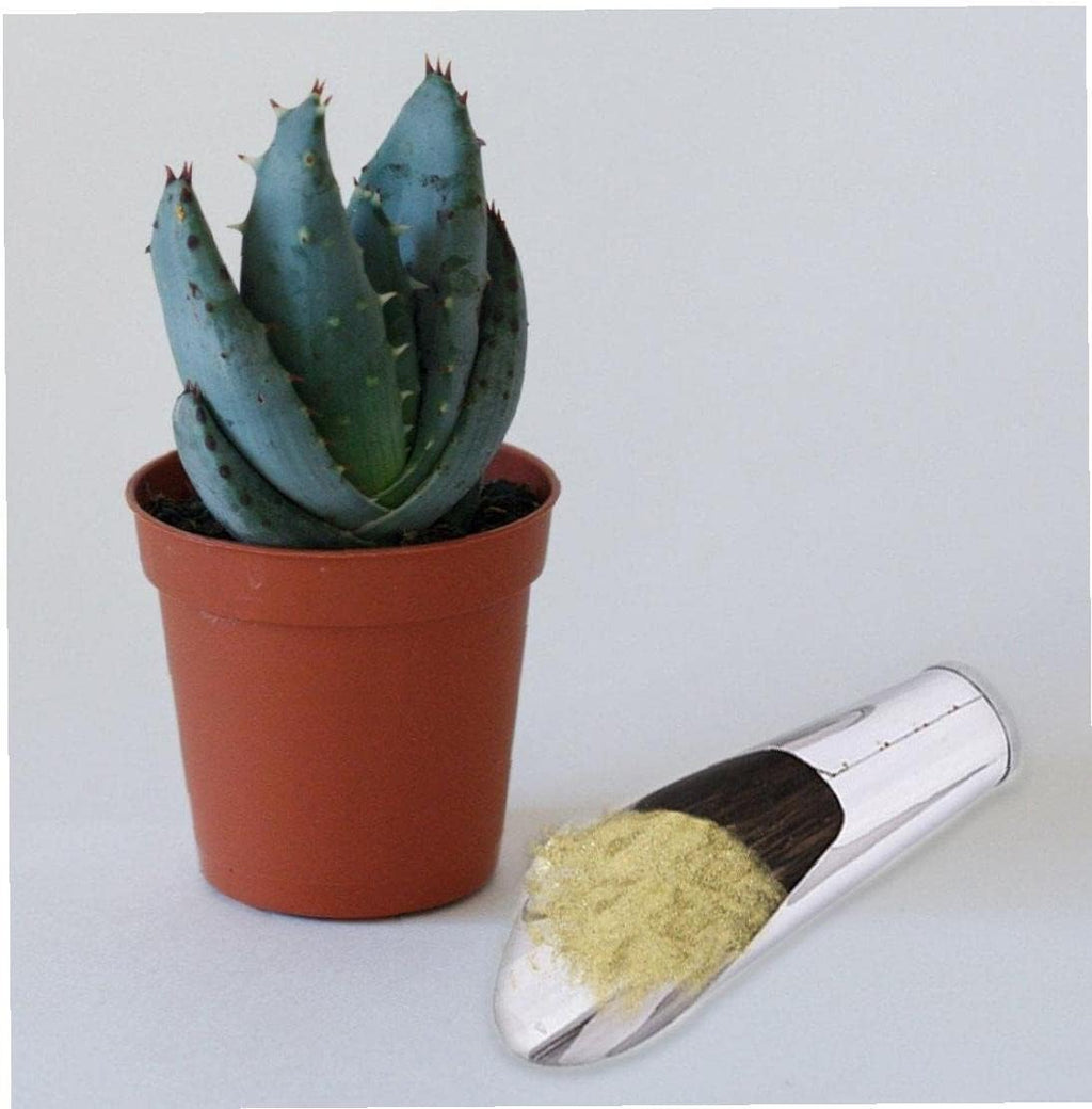 Stainless Steel Scoop for Potting Soil – Robust Planting Scoop for Garden and Balcony