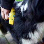 Professional hair removal brush for dogs & cats