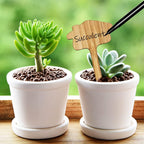 Plant labels made of wood for garden and balcony – Rewritable labels for herbs and plants