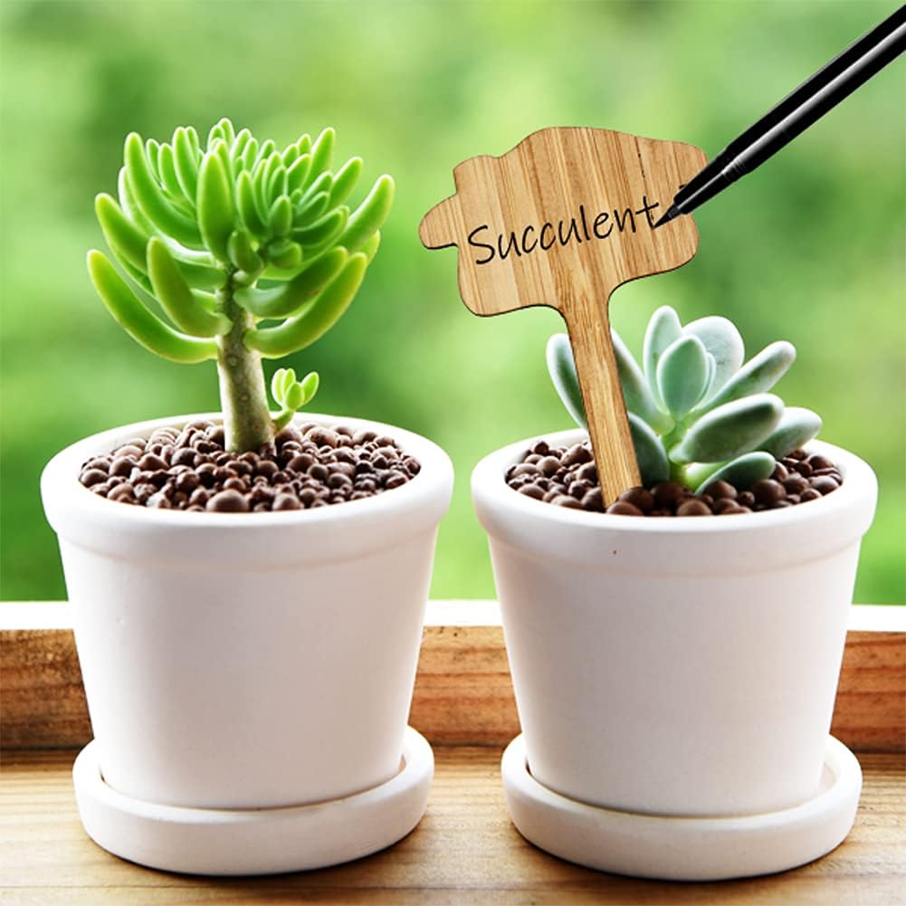 Plant labels made of wood for garden and balcony – Rewritable labels for herbs and plants