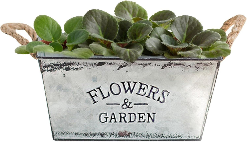 Decorative flower and garden container made of metal with hemp rope handles