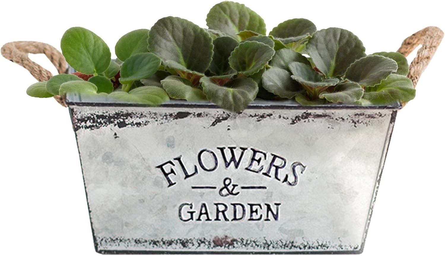 Decorative flower and garden container made of metal with hemp rope handles