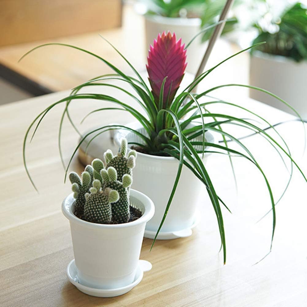 Breathable Root Control Pot for Plants – Ideal for Healthy Growth and Optimal Aeration