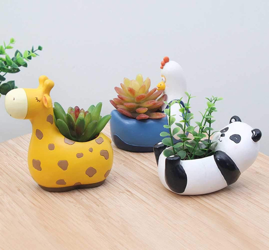 Animal Plant Pots – Funny Animal Designs for Succulents and Cacti