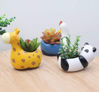Animal Plant Pots – Funny Animal Designs for Succulents and Cacti