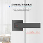 Smart Fingerprint Door Lever Lock with Key Access & 30 User Capacity – Nivora