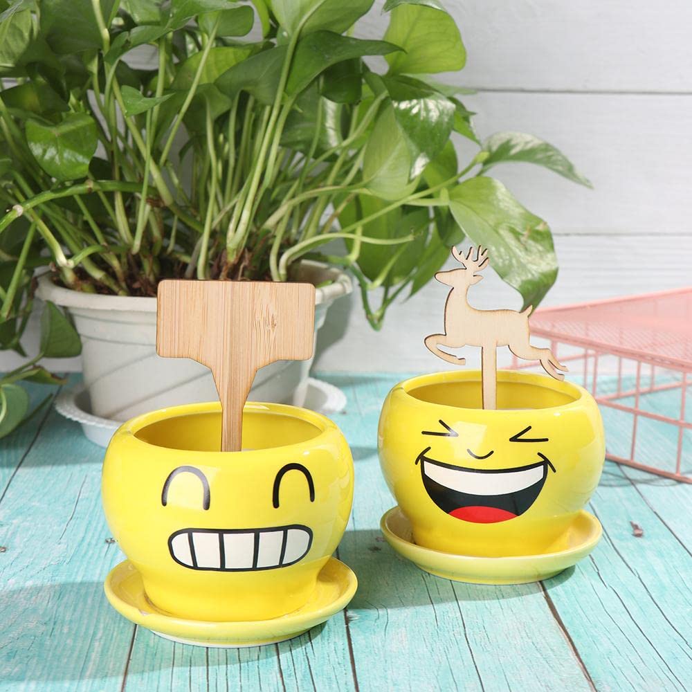 Plant labels made of wood for garden and balcony – Rewritable labels for herbs and plants