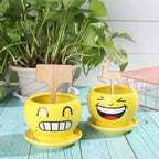Plant labels made of wood for garden and balcony – Rewritable labels for herbs and plants