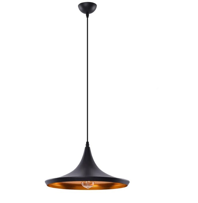 Tulip elegance in modern light
